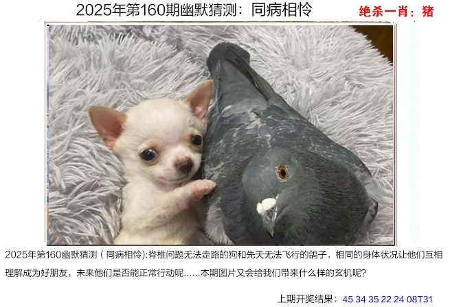 更新中