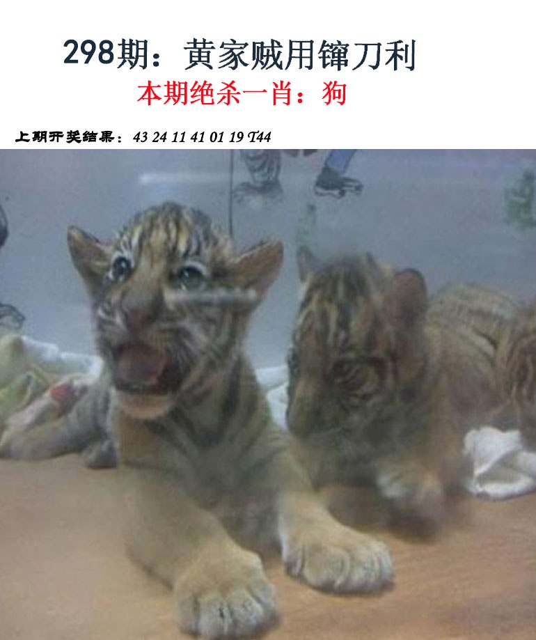 更新中